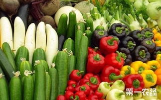 強(qiáng)化源頭管控，守護(hù)“舌尖安全”——淺析農(nóng)業(yè)部食用農(nóng)產(chǎn)品合格證管理試點(diǎn)工作在零售環(huán)節(jié)的實(shí)踐